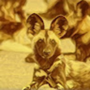 Meet your Posher, Christopher-jordan